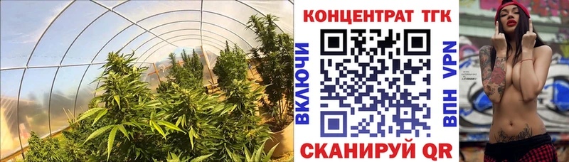 дарнет шоп  Мензелинск  ТГК вейп с тгк 