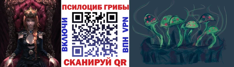 Псилоцибиновые грибы Cubensis  что такое   Мензелинск 
